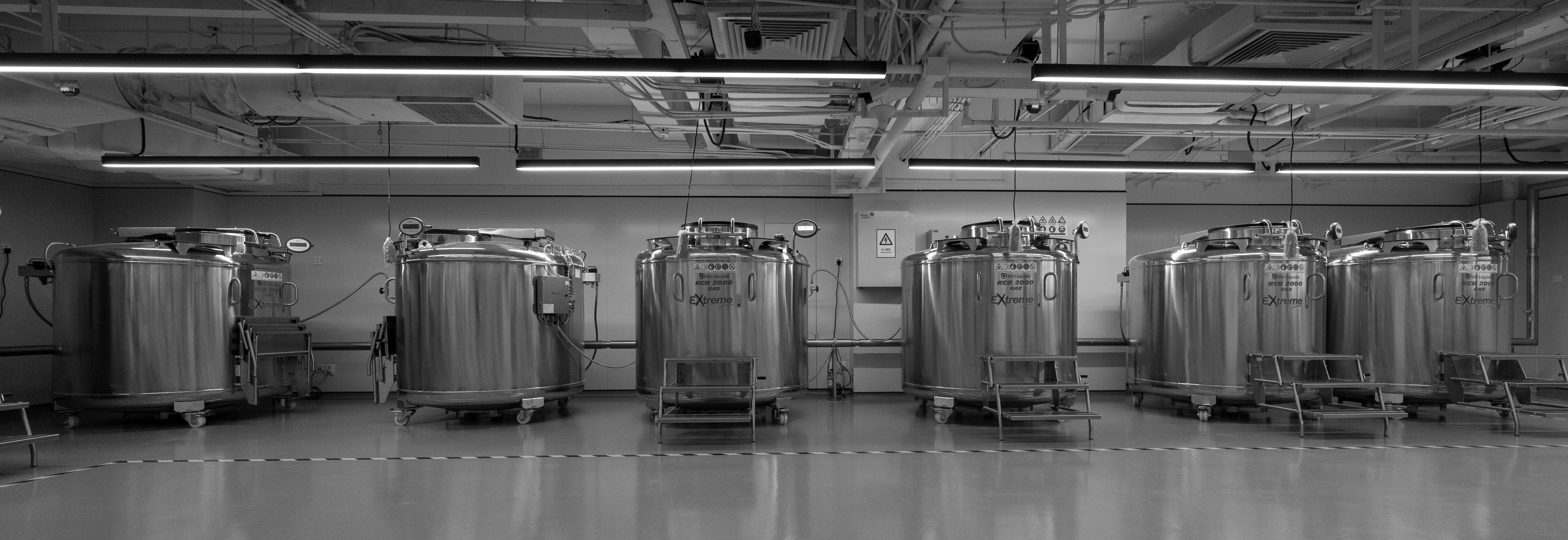 20211115163694168230.jpg 液氮罐單排.jpg